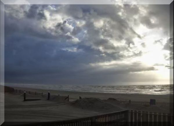 beach cam live view